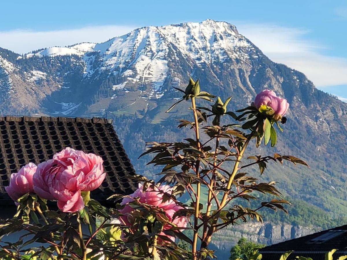 Villa Castagna Guesthouse Lucerne Exterior foto